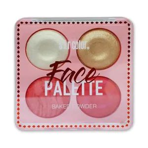 S.F.R Color Face Palette Baked Powder 20g